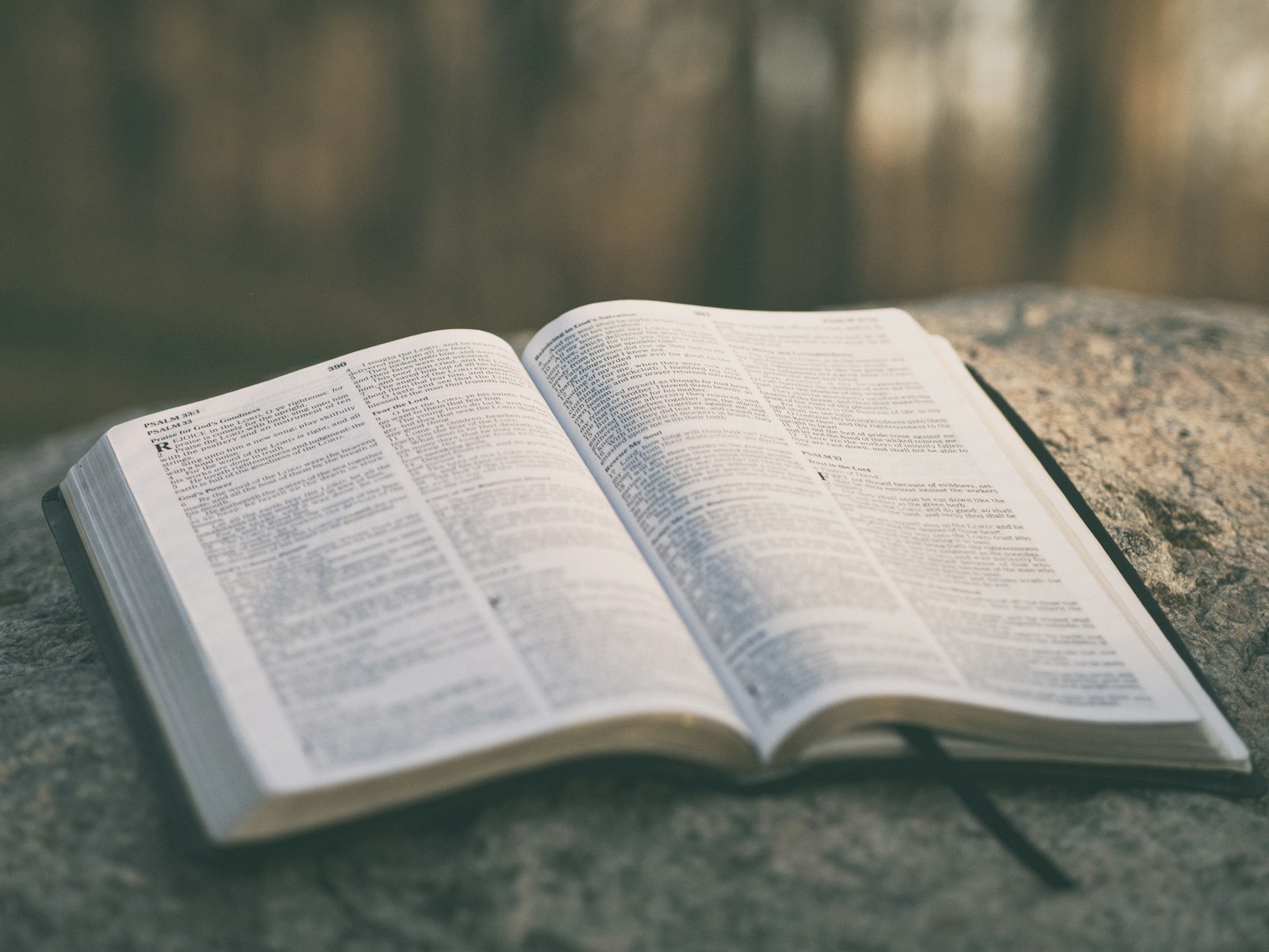 An open Bible resting outdoors — room for prayer, Scripture, lament, and hope alongside evidence-based clinical work