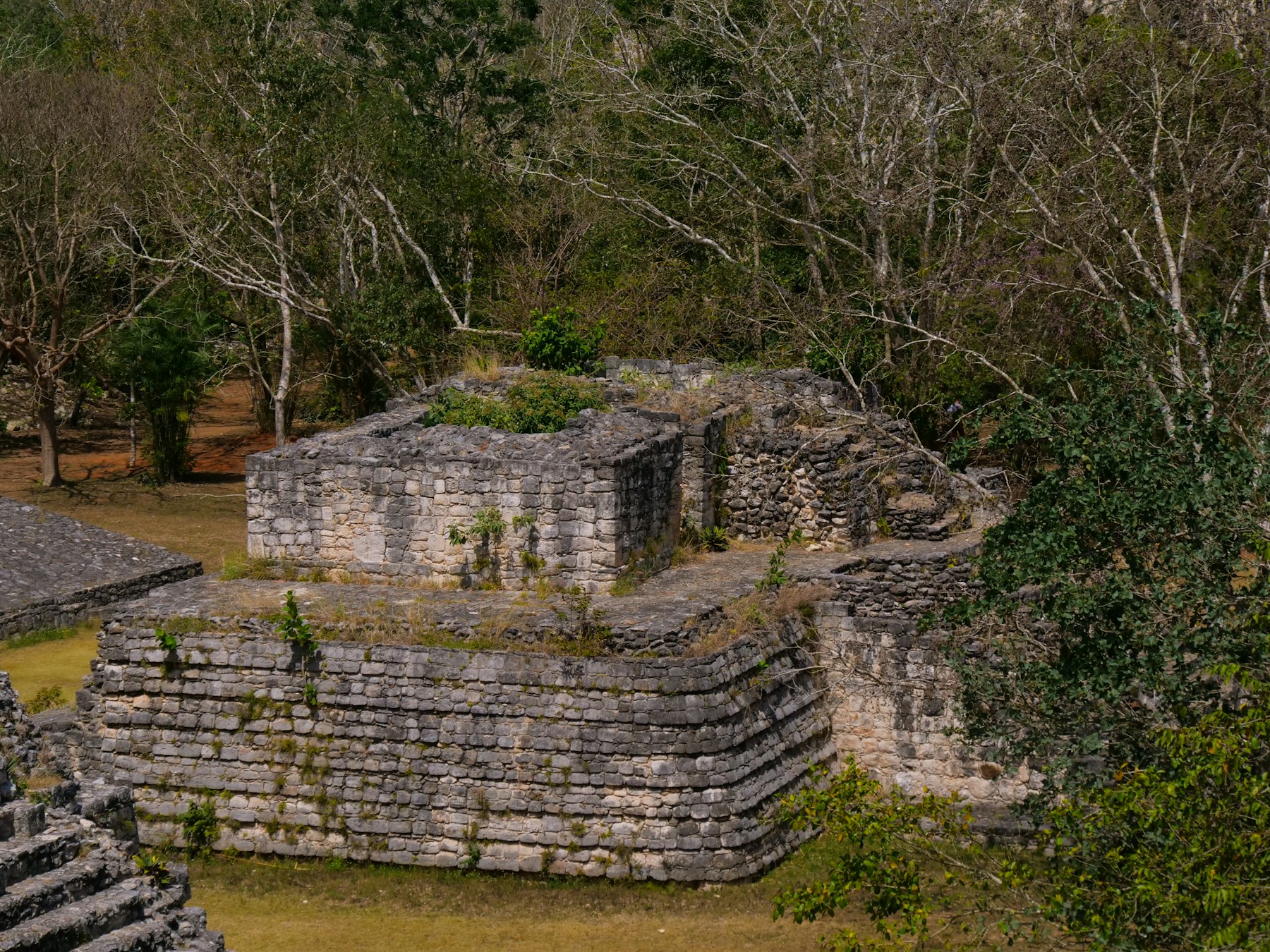 Stone Maya ruins at Ek Balam emerging from dense Yucatán jungle on a quiet morning.