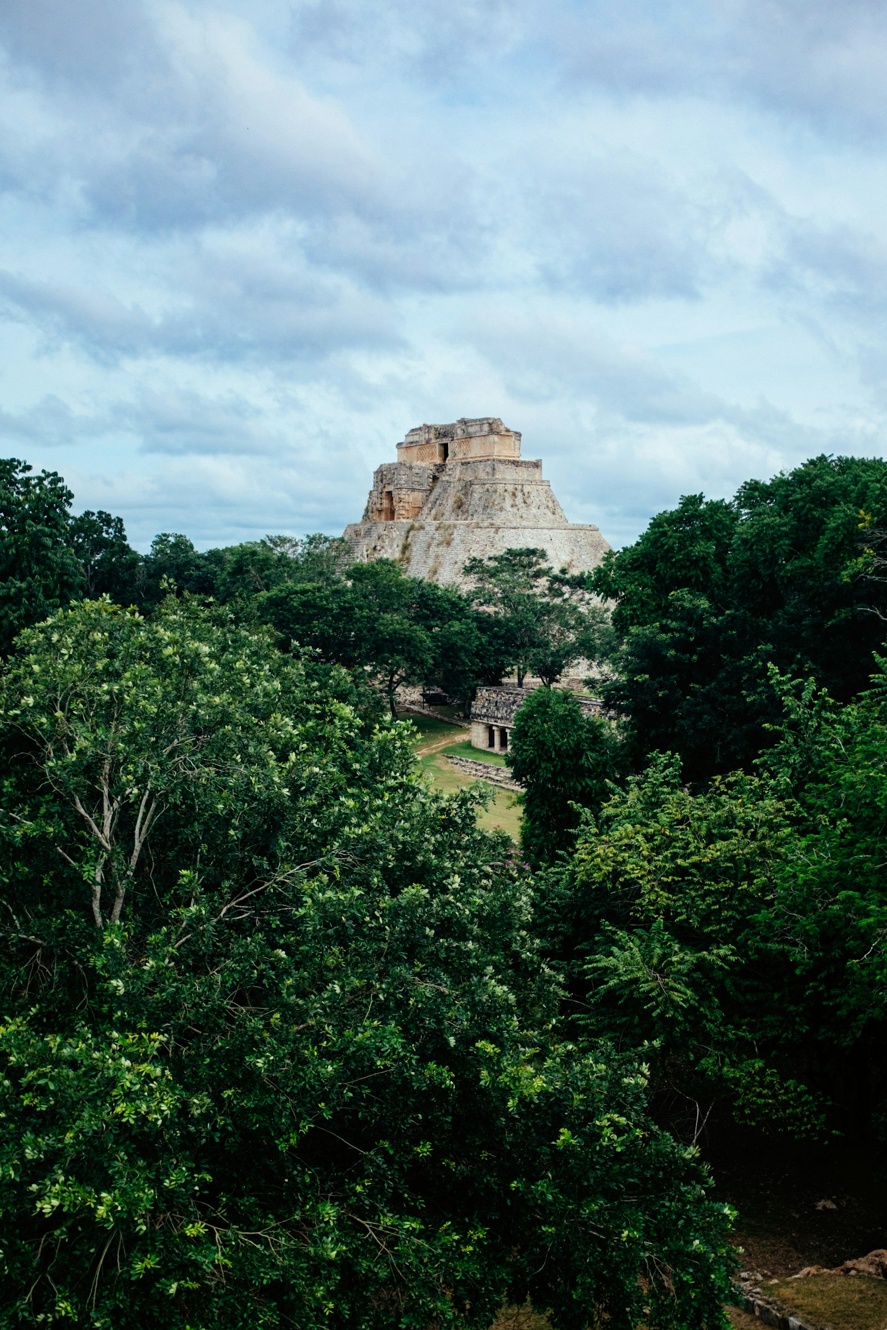 The Pyramid of the Magician at Uxmal rising from the dense Yucatán jungle under a soft sky.